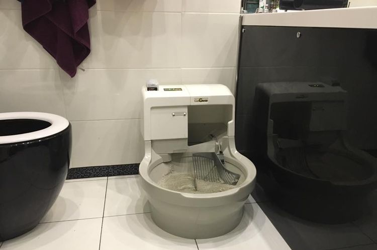 Bac à litière autonettoyant pour chats