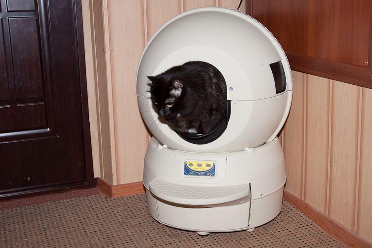 Bac à litière autonettoyant pour chats