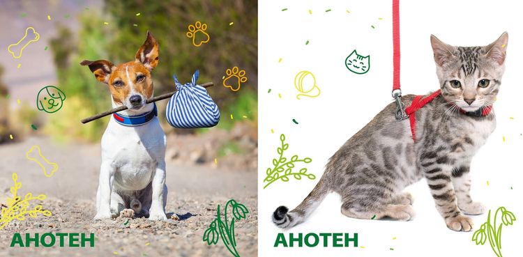 Anoten pour chiens et chats