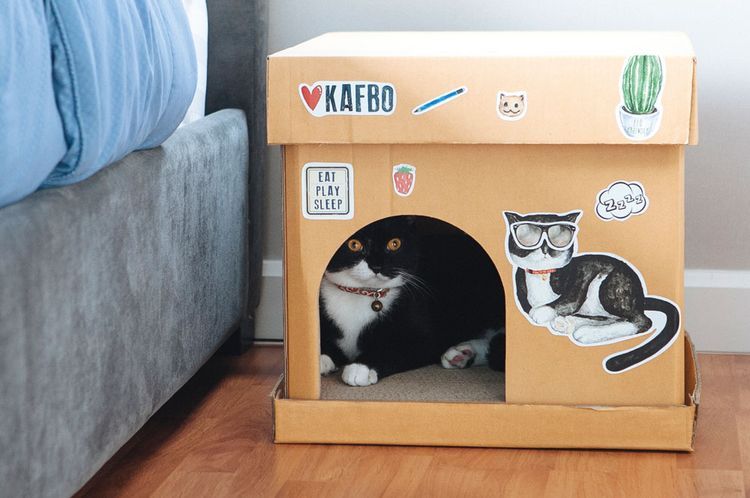Maison en carton pour chat