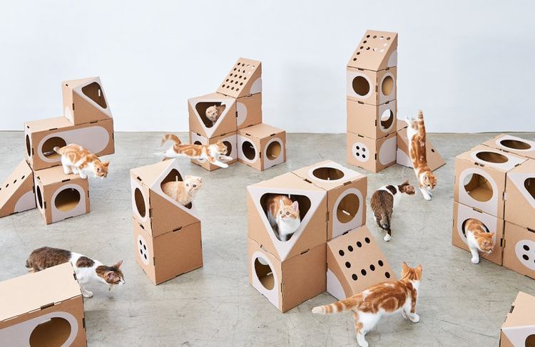 Maisons pour chats en carton