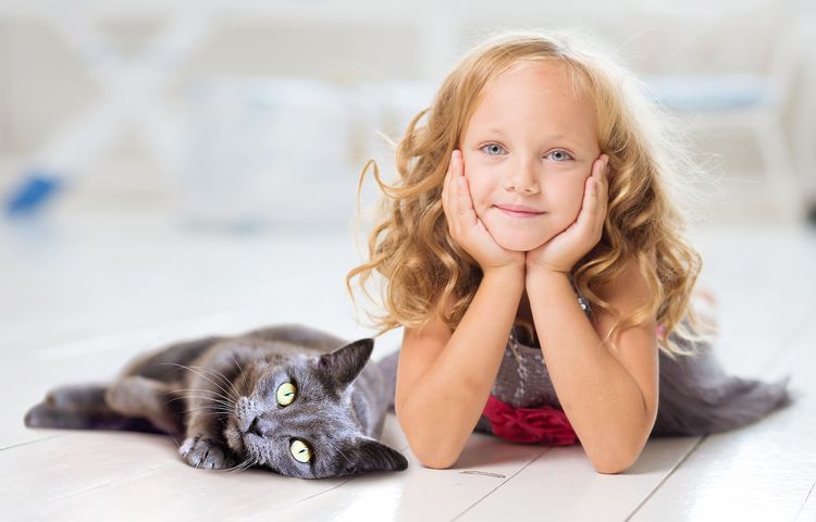 Une fille et un chaton gris