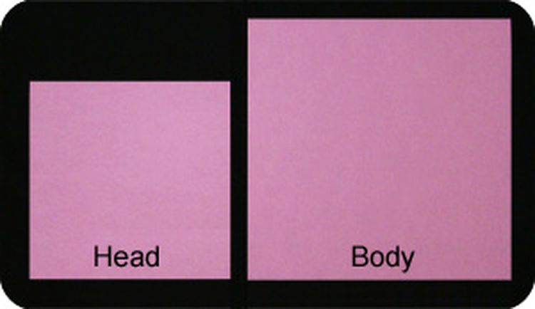 Un chat en origami tout simple