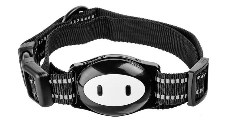 Collier GPS MonkeyG Dest D79 pour chats