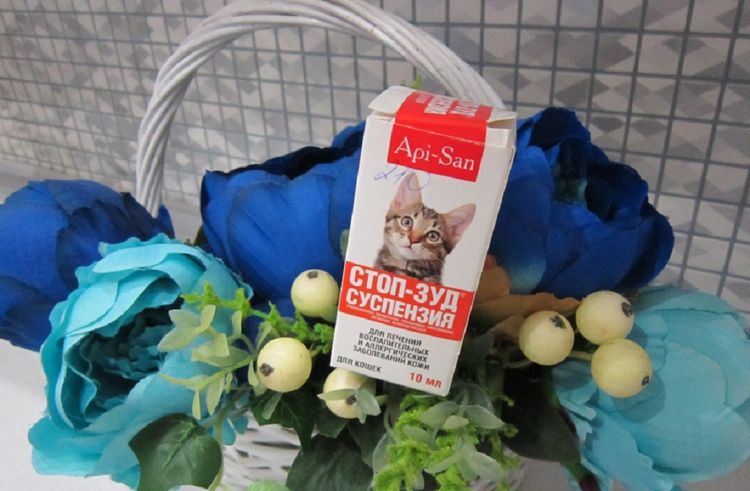 Suspension anti-démangeaisons pour chats