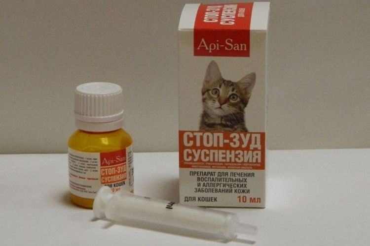 Suspension anti-démangeaisons pour chats