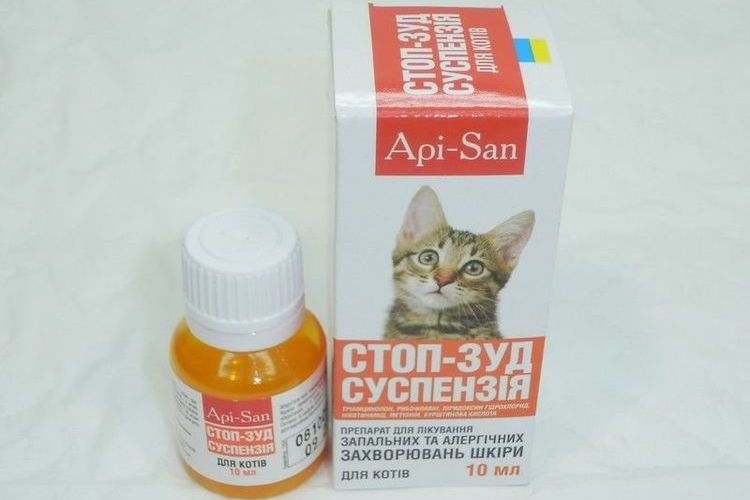 Suspension anti-démangeaisons pour chats