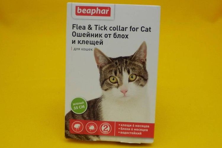 Collier pour chat Beaphar
