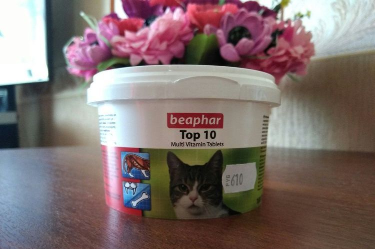 Vitamines Beaphar pour chats
