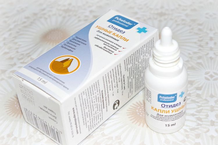 Gouttes Otidez pour chats