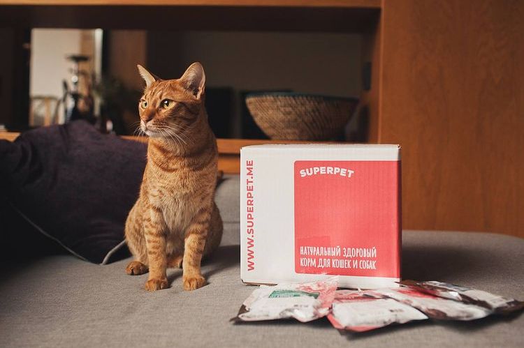 Nourriture pour chats Superpet