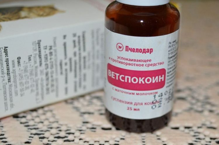 Suspension apaisante Vetspokoin pour chats