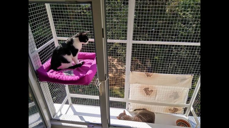 Filet de balcon pour chats