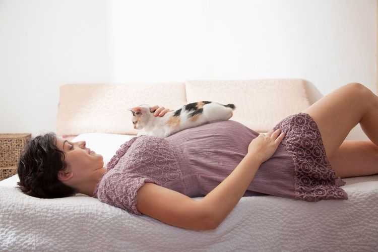 Un chat tricolore est couché sur une fille enceinte
