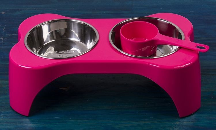 Gamelle double pour chat sur support