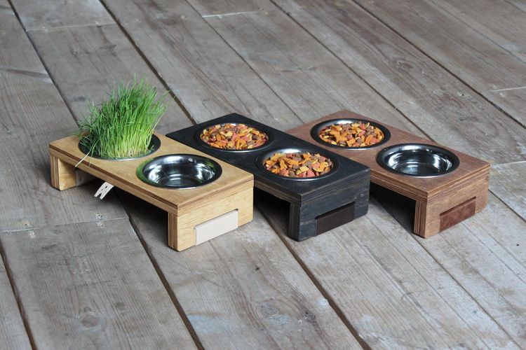 Le bol idéal pour un chat