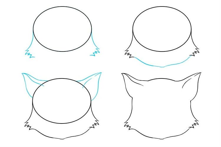 Dessin étape par étape d'un visage de chat anime