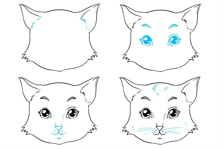 Dessin étape par étape d'un visage de chat anime