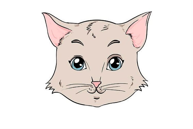Dessin étape par étape d'un visage de chat anime