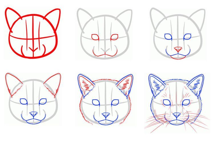Dessin d'un visage de chat