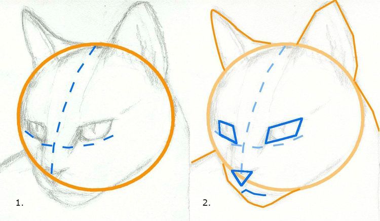 Comment dessiner un visage de chat étape par étape