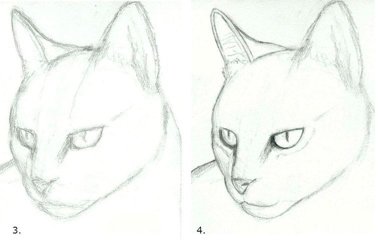Comment dessiner un visage de chat étape par étape