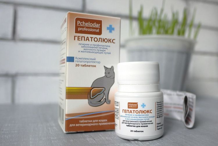 Hepatolux pour chats