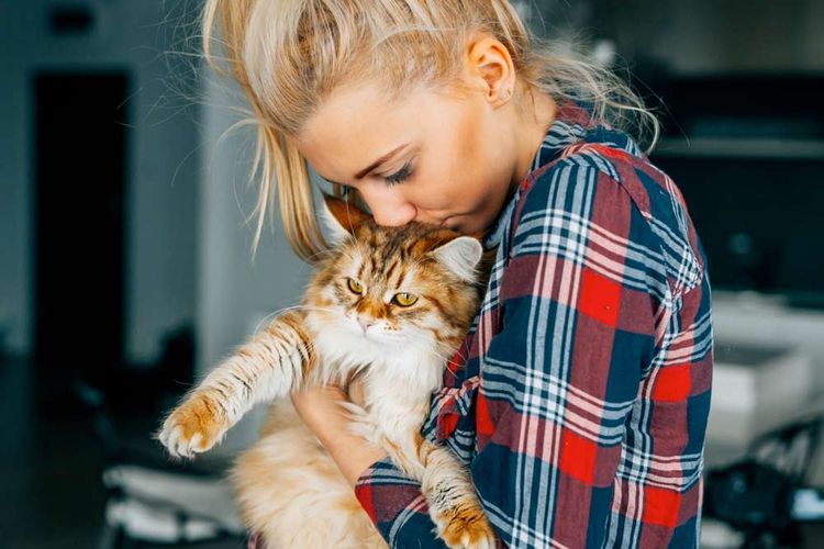 Pourquoi les gens aiment-ils les chats ?