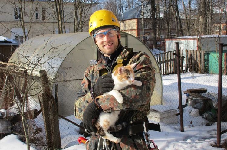 Les services de sécurité ont secouru un chat coincé dans un arbre.