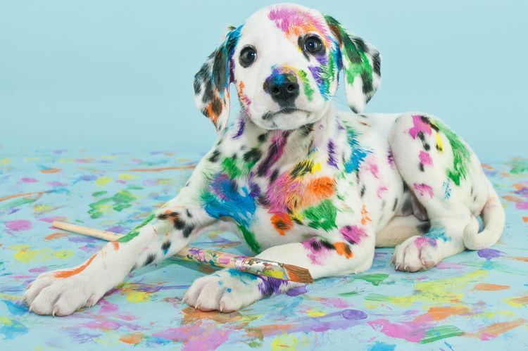 Chien dans la peinture