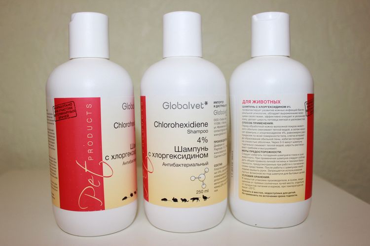 Shampoing à la chlorhexidine Global Vet