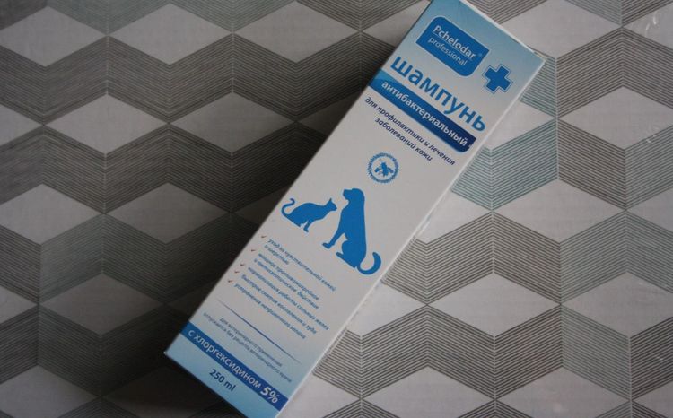 Shampooing à la chlorhexidine « Pchelodar »