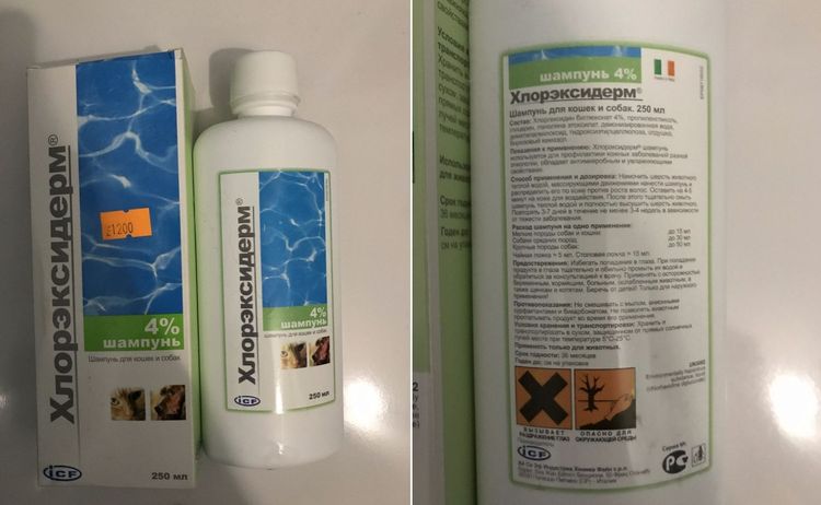 Shampooing à la chlorhexidine Chlorexiderm