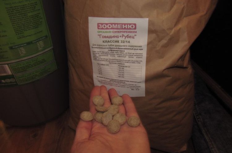 croquettes pour chien