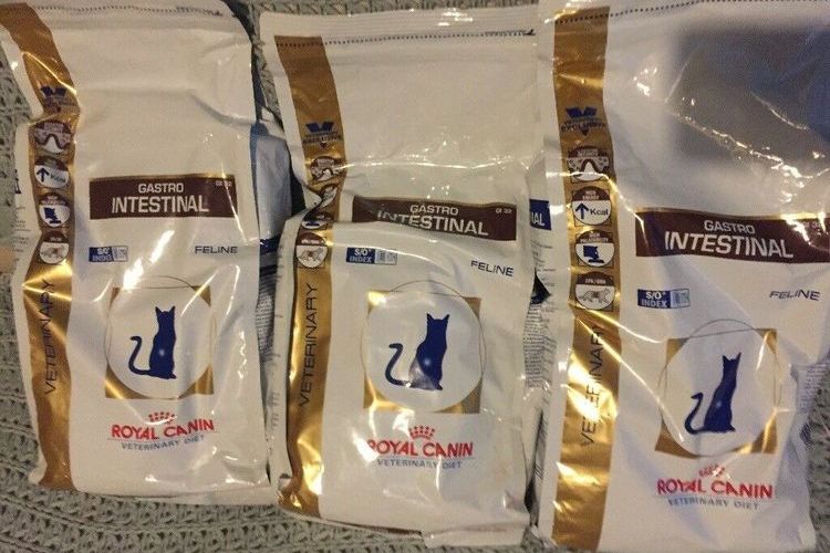 Aliments gastro-intestinaux pour chats Royal Canin
