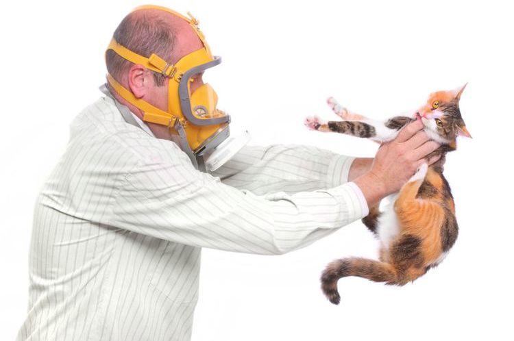 Cet homme est allergique aux chats.
