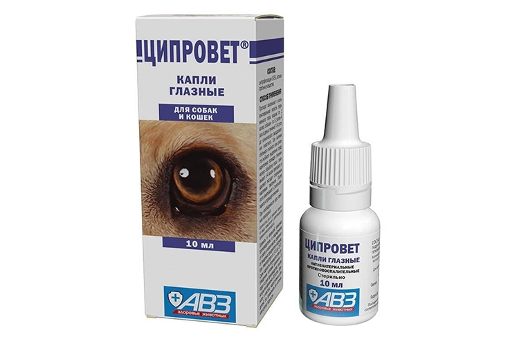 gouttes de ciprovet