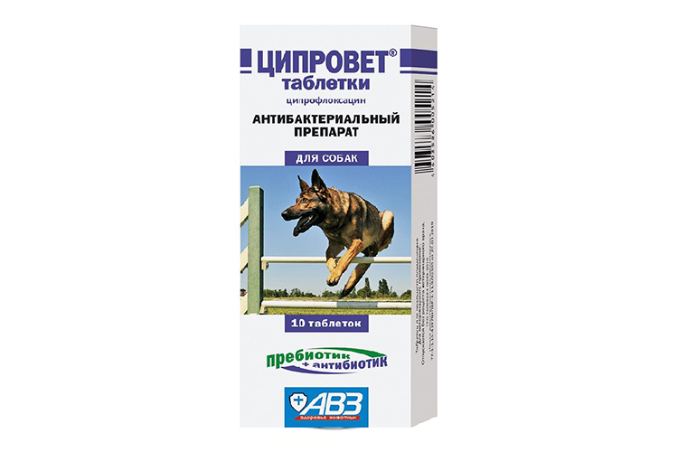 Comprimés de Ciprovet