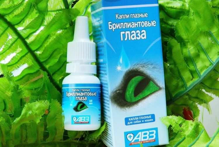 Gouttes oculaires Diamond Eyes pour chiens