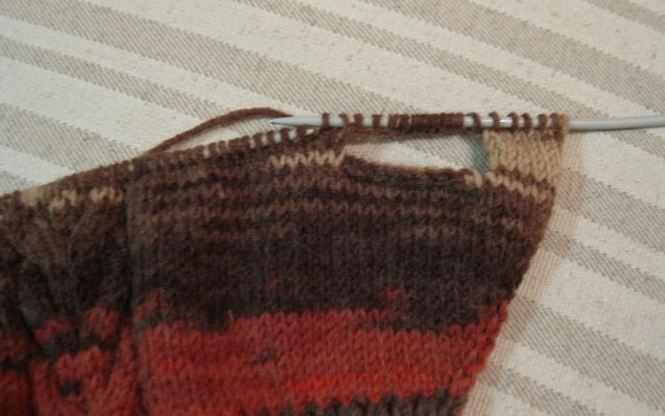 Tricoter un pull pour un chien