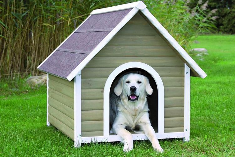 revêtement pour niche pour chien