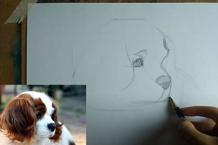 Un chien de dessin animé