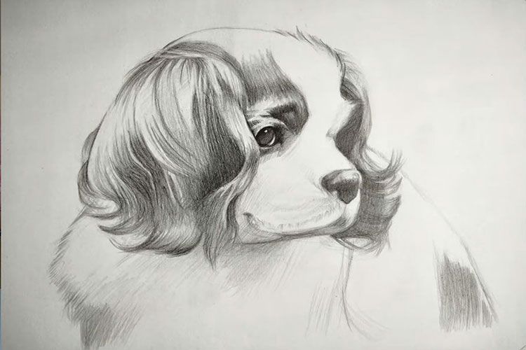 Le roi Charles cavalier peint