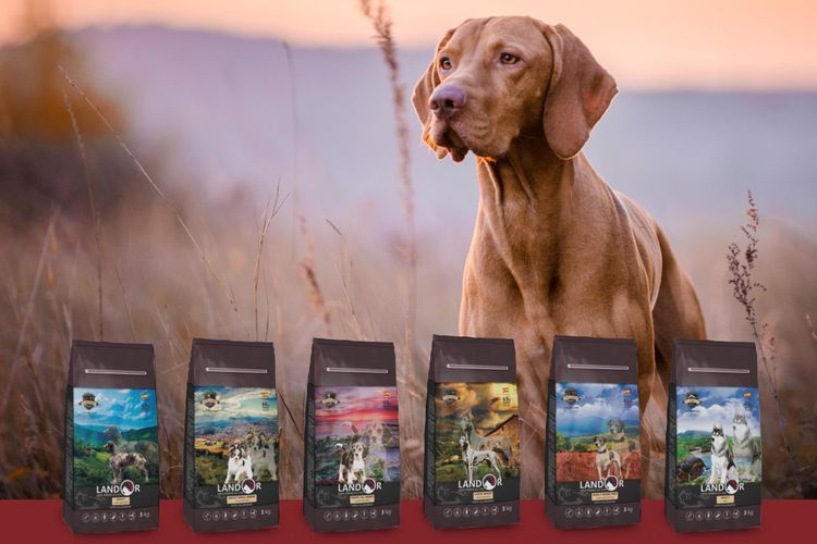 Nourriture pour chiens Landor