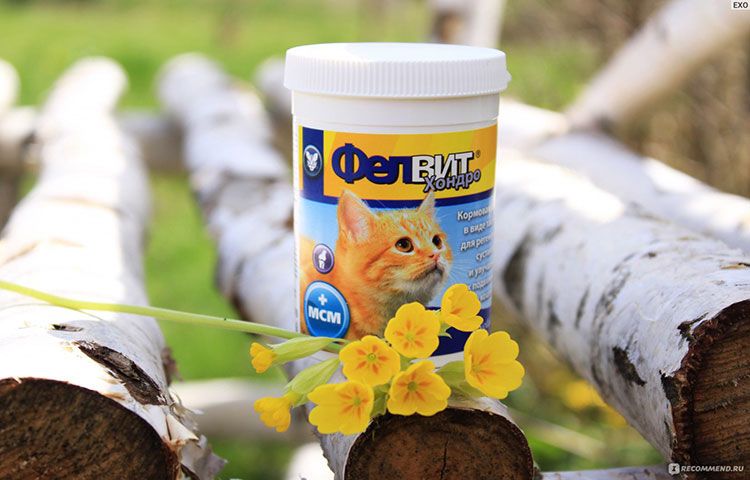 Chondroprotecteur Felvit