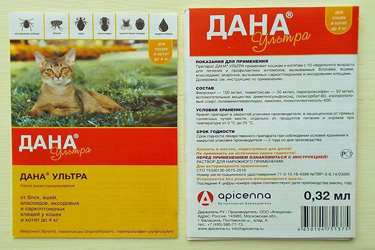 Gouttes antiparasitaires pour chats