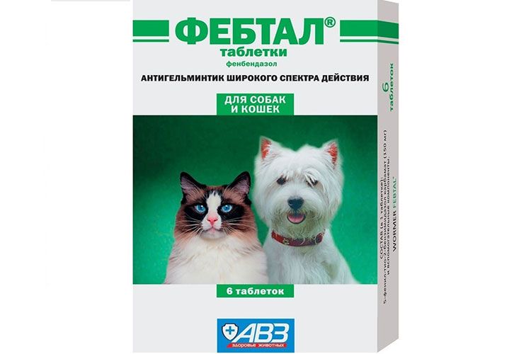 Comprimés Febtal contre les vers