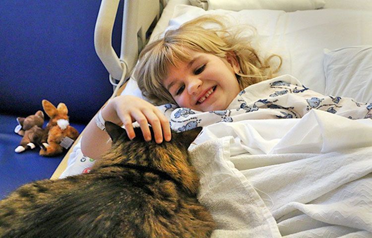 Un chat avec une fille malade