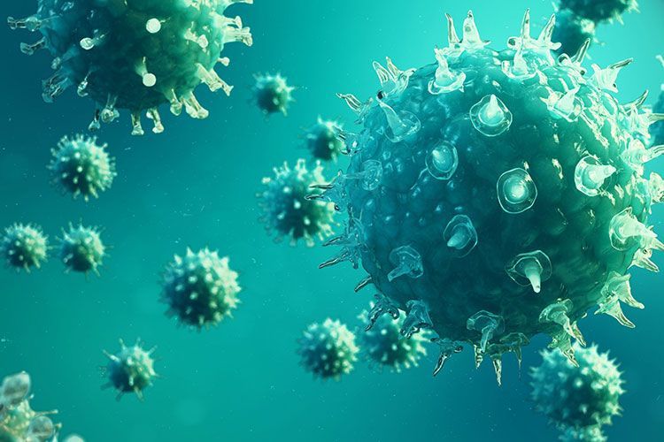 À quoi ressemble le coronavirus ?
