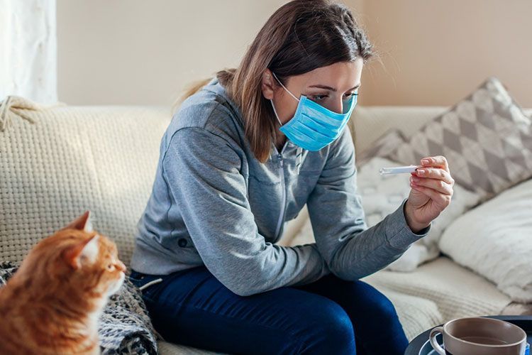 Une chatte rousse et son propriétaire